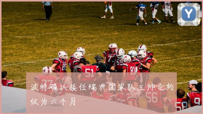 波特确认接任瑞典国家队主帅合约仅为六个月