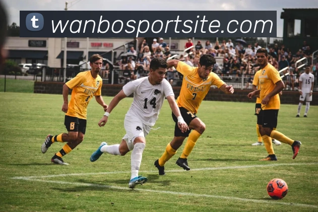 万博体育服务体系